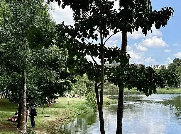 Como conhecer mulheres em São Paulo: apps, bairros e conversa real