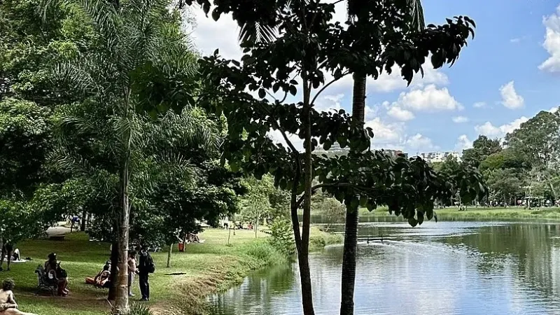 Como conhecer mulheres em São Paulo: apps, bairros e conversa real